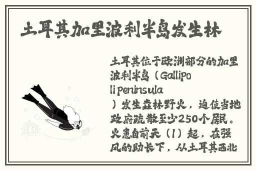 仙女肚子里面满满的都是